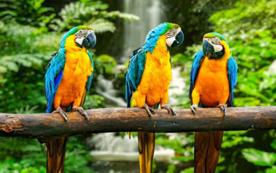 Beyond the LMS: What a Modern Learning Ecosystem Really Looks Like